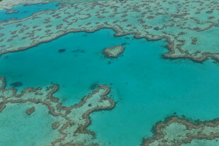美丽珊瑚礁海域景观