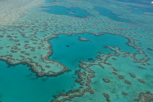 美丽梦幻的海底珊瑚景观