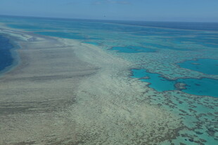 俯瞰美丽壮观的珊瑚礁海岸