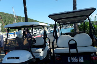 户外停放的两辆高尔夫球车