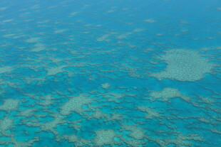 俯瞰清澈斑斓的海底世界