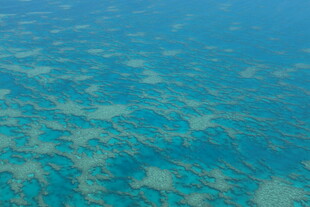 清澈碧蓝的海底景象