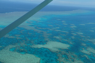 俯瞰蔚蓝海洋中的珊瑚礁