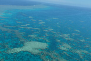 俯瞰绚丽多姿的海底世界