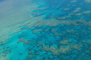 俯瞰绚丽多姿的海底珊瑚