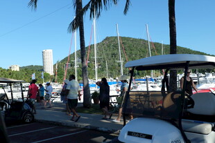 码头边的休闲场景