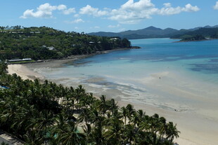 美丽海滨风光 椰林环绕