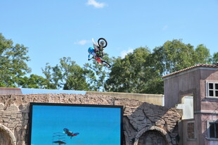 动物园中飞鸟嬉戏场景