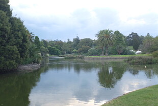 宁静湖畔自然风光