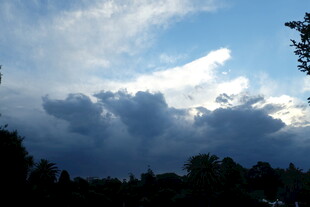 天空中厚重云层与树木