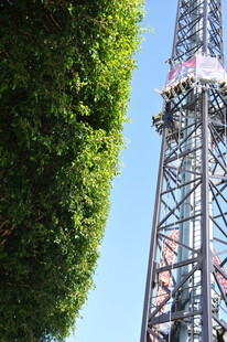 绿树旁的高耸铁塔