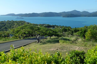 海岸公路旁的美丽自然风光