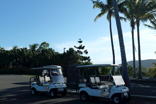 道路上的两辆白色高尔夫球车