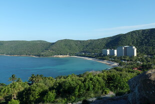 海滨绿树环绕的美丽景致