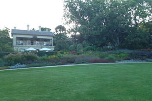 美丽庭院草坪与绿植景观