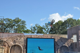 海豚在空中跃起表演