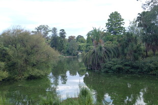 宁静河畔的自然绿意风光