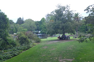 绿意盎然的户外公园景致