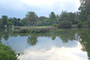 宁静湖畔自然风光