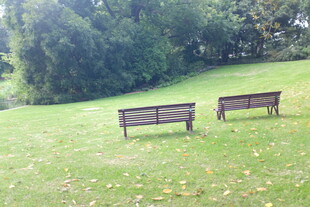 草地上的两张长椅