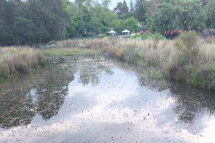 乡村静谧小河风景