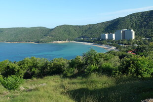 海滨风光 绿树环绕的度假地