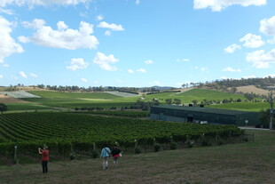 田园风光下的惬意漫步