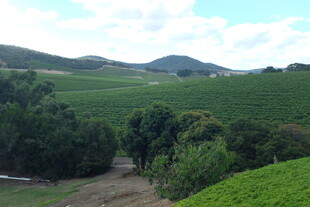 山间绿意盎然的田园风光