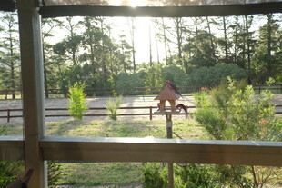 透过窗看户外骑马场景