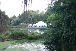 湖畔绿荫中的白色帐篷