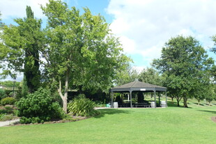 绿意盎然的庭院景观