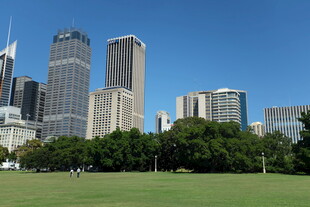 城市绿地与林立高楼景观