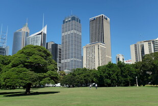 城市绿地旁的摩天大楼景观