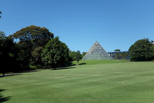 绿草如茵中的神秘金字塔