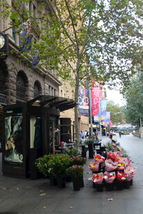 街边鲜花摊 城市浪漫角落