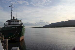 停泊于宁静水域的船只