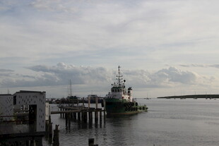 港口停泊的船只