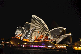 悉尼歌剧院夜景璀璨迷人