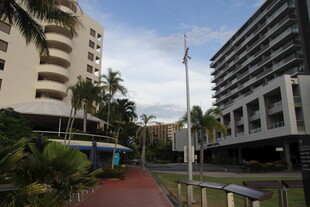 城市中绿植环绕的步道景观