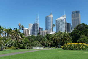 悉尼城市景观与绿地风光