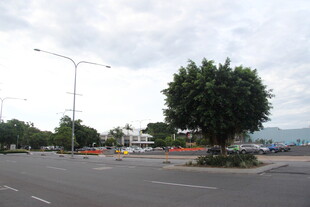 城市道路中的绿化环岛