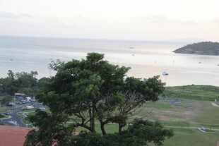 海边绿树环绕的美丽景致