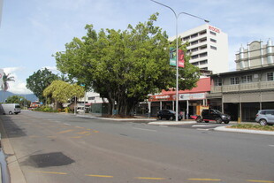 城市街道旁的绿树与建筑