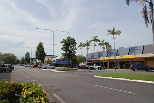 街道旁的商业及绿化景观