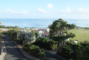 海滨街道风景远眺