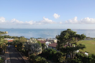 海滨美景 绿树环绕的风光