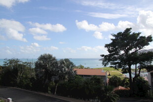海边风景 绿树蓝天与远海