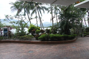 热带庭院景观 绿植环绕