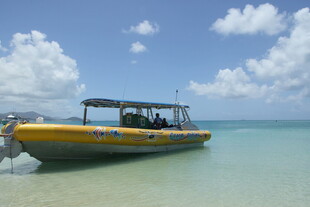 海上黄船停泊于浅海区域