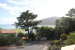 海边蜿蜒小路旁的绿植景观